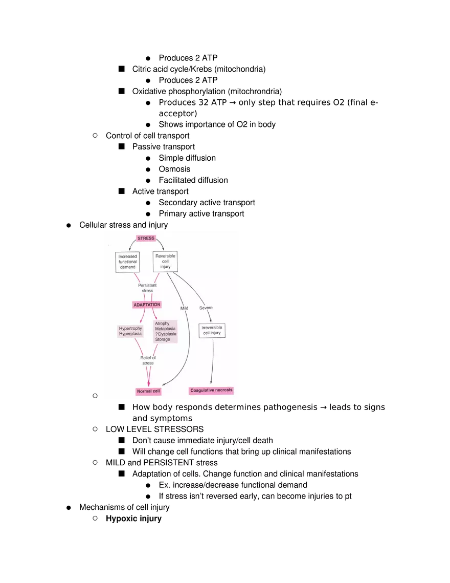 Introduction to Pathophysiology and Cellular Basis of Disease Part 2 - Page 3