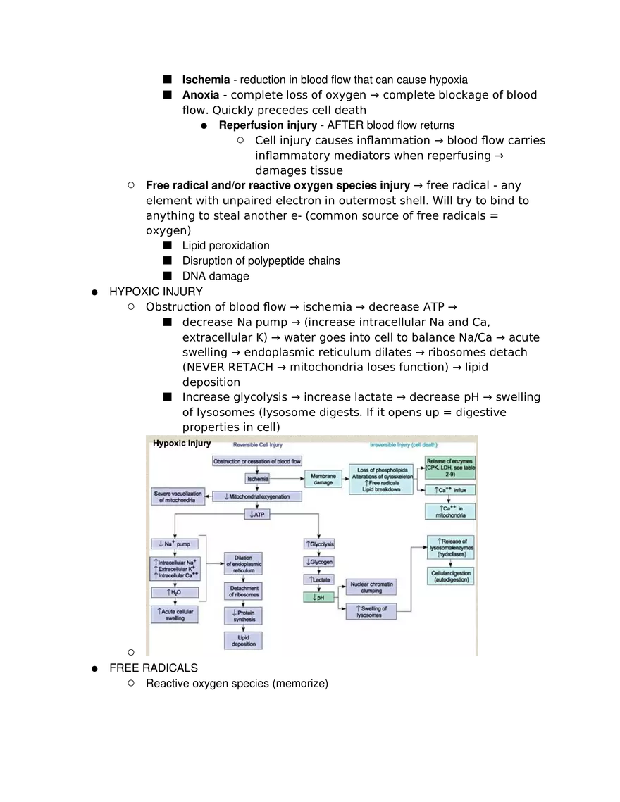 Introduction to Pathophysiology and Cellular Basis of Disease Part 2 - Page 4