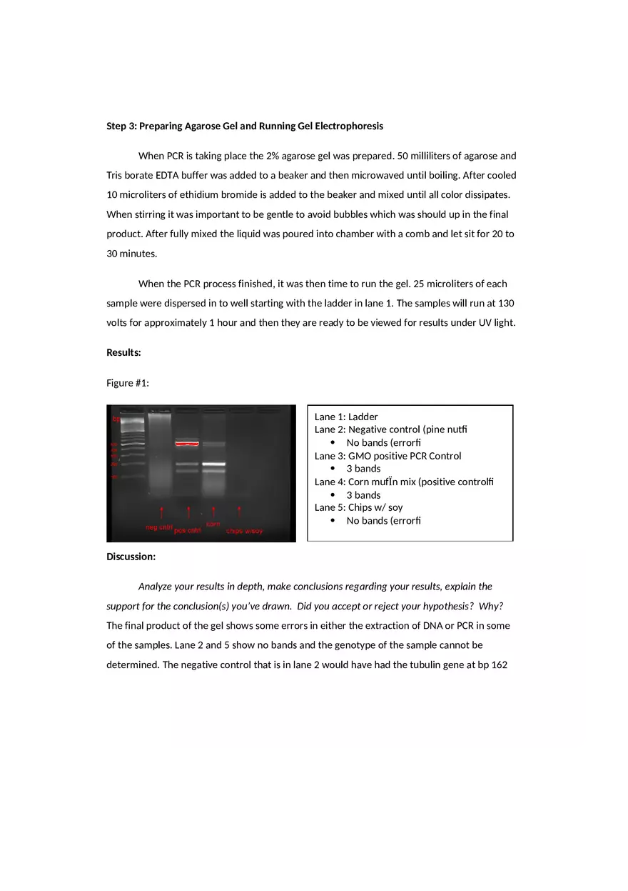 Detecting Genetically Modified Organisms Lab Report - Page 4