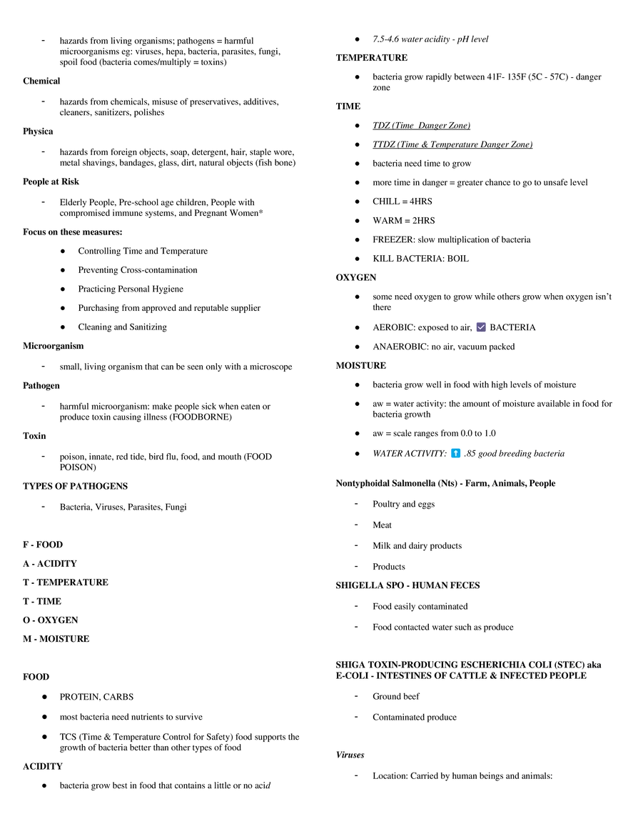 The Ancient World Rome - Page 3