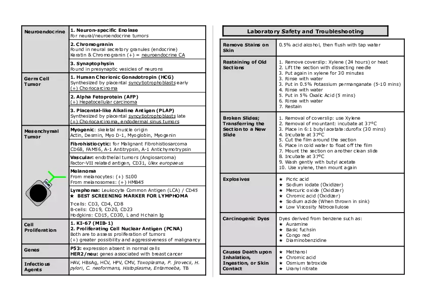 Basic Histology Part 4 - Page 8