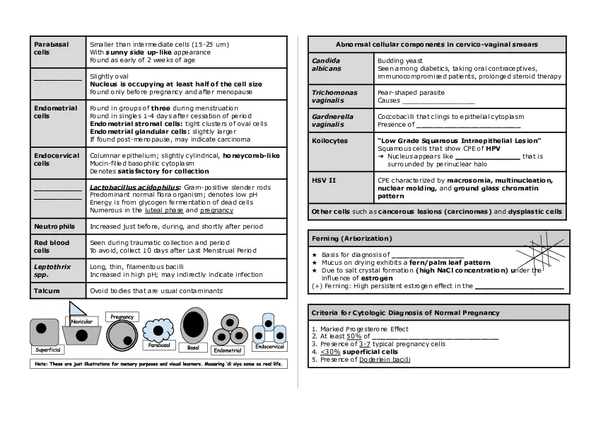 Basic Histology Part 4 - Page 3