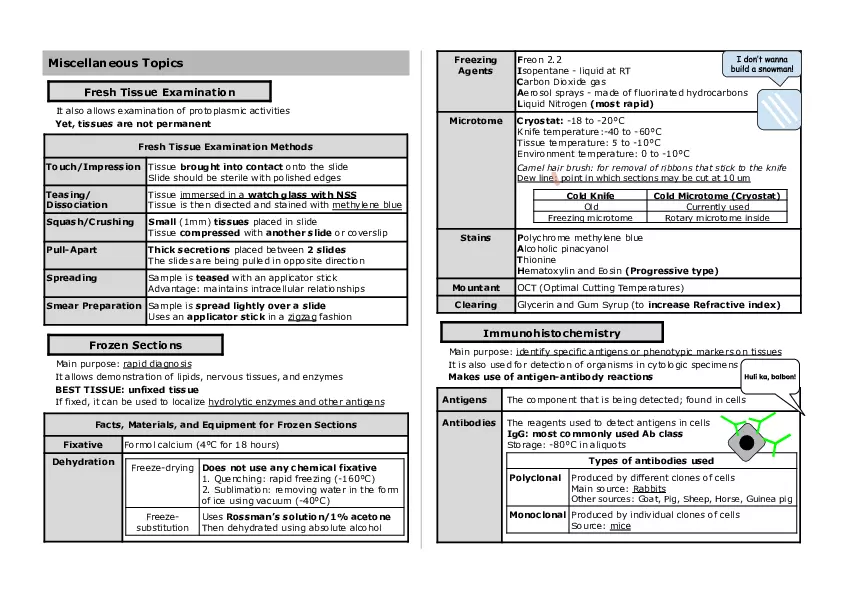 Basic Histology Part 4 - Page 5