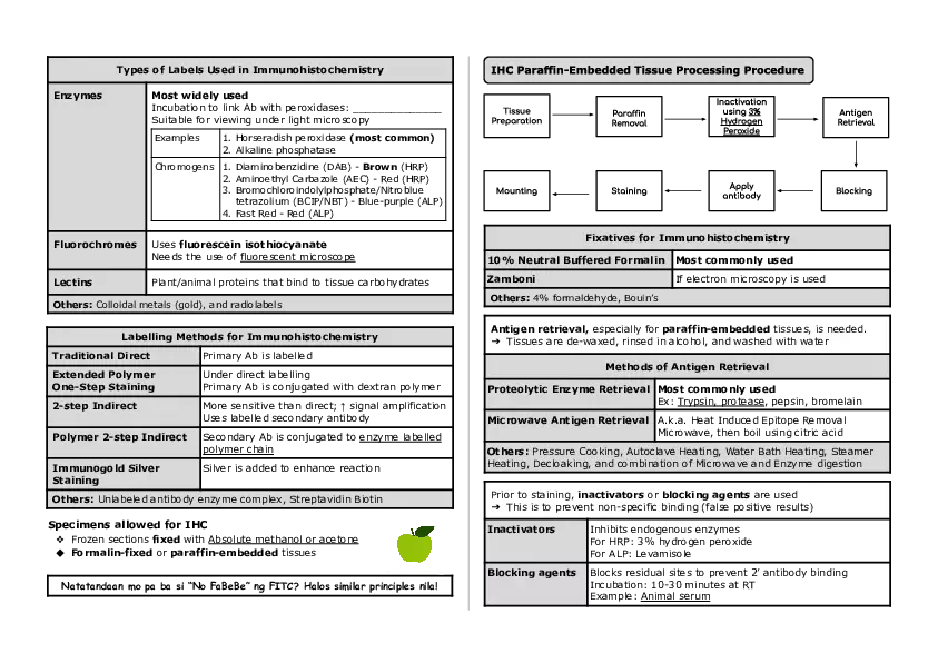 Basic Histology Part 4 - Page 6