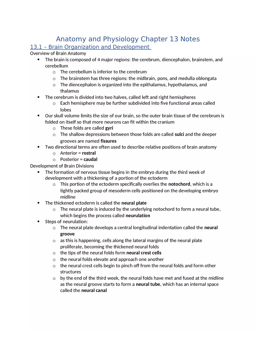 Anatomy and Physiology Chapter 13 Notes - Page 1