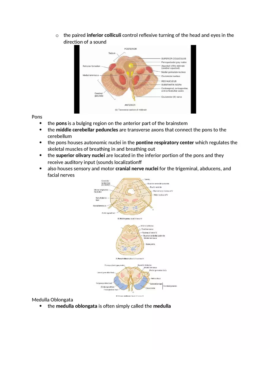 Anatomy and Physiology Chapter 13 Notes - Page 6