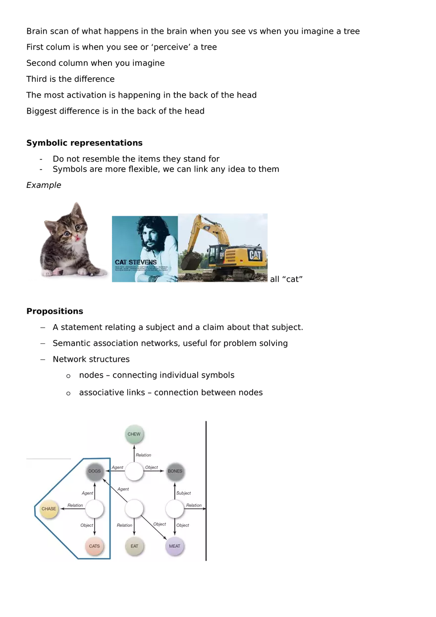 Thinking and Decision Making - Page 2