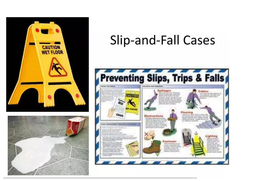 What is a Tort (Lecture) Part 7 - Page 3