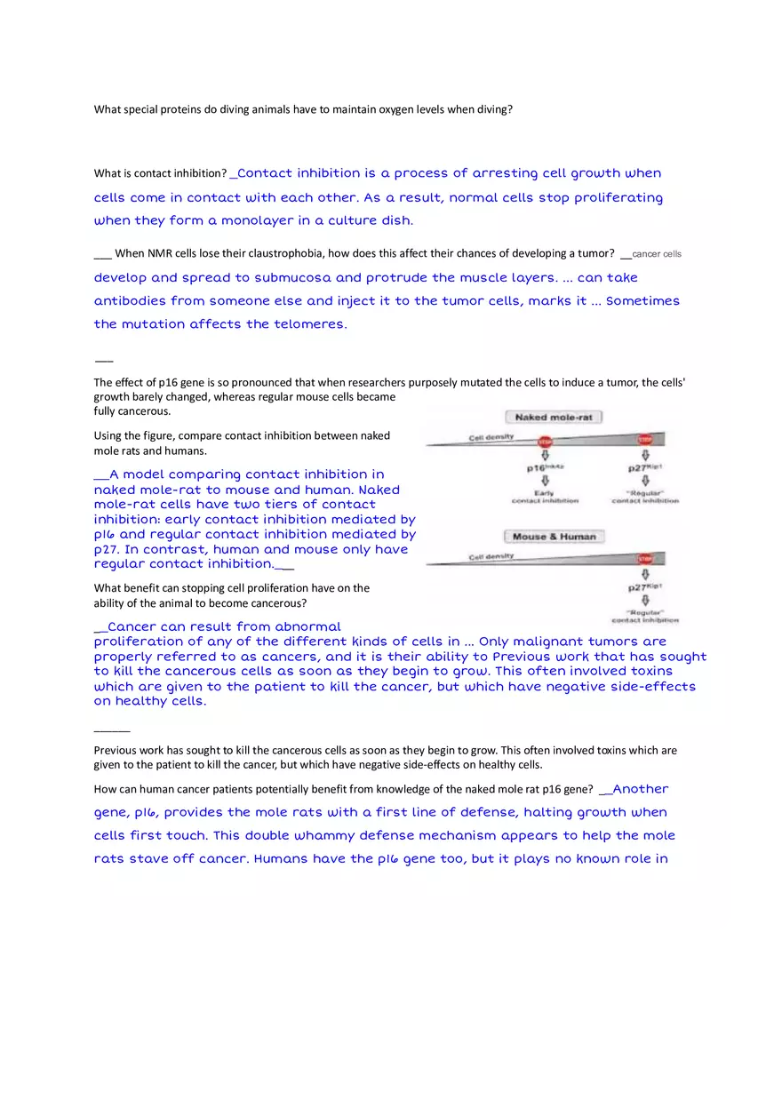 Do Animals Get Cancer - Page 3