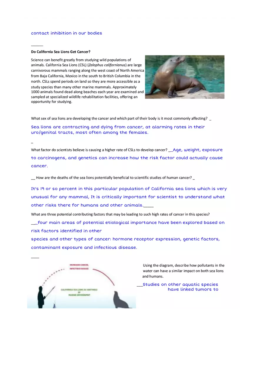 Do Animals Get Cancer - Page 4