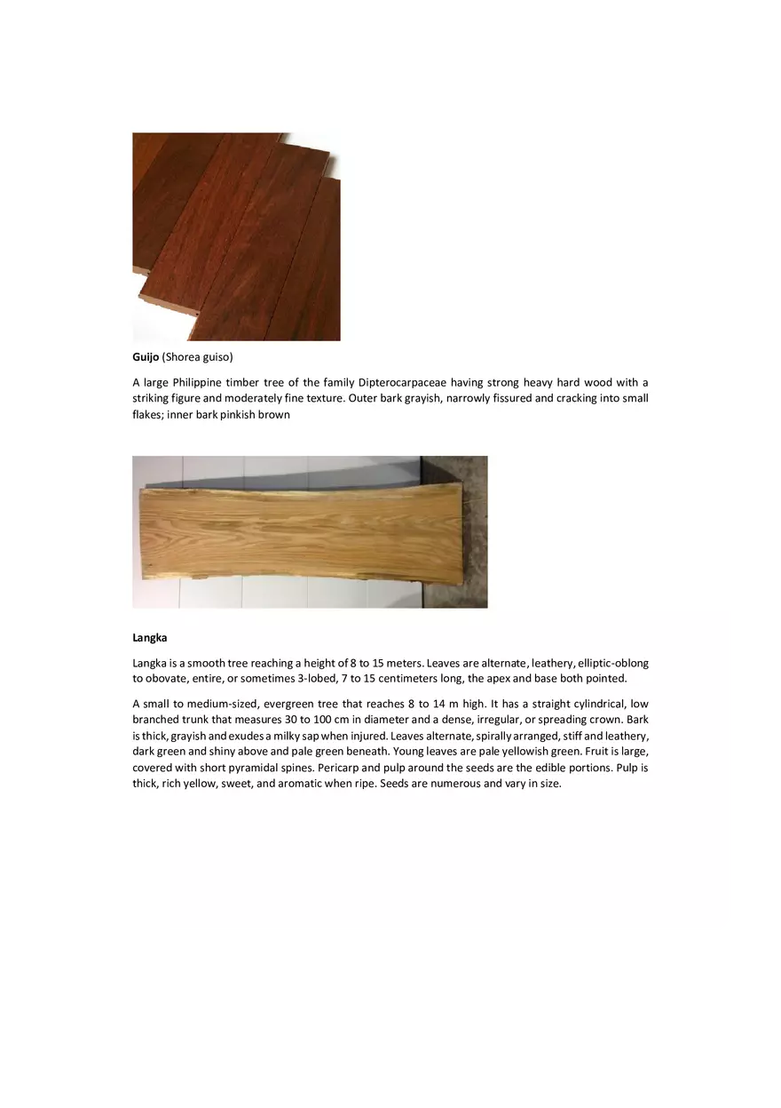 Hardwood and Softwood in the Philippines - Page 7