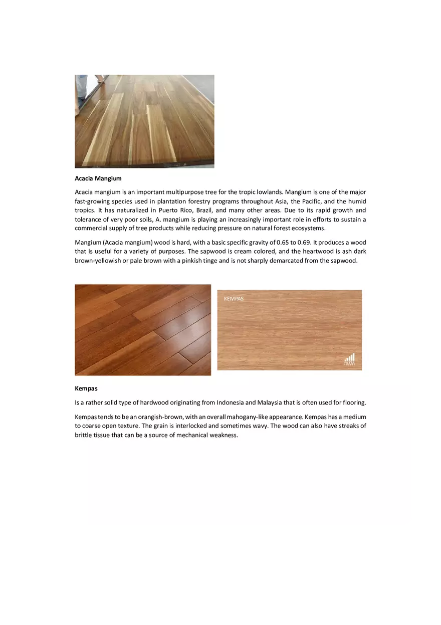 Hardwood and Softwood in the Philippines - Page 9