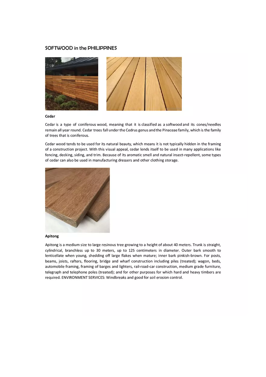 Hardwood and Softwood in the Philippines - Page 10