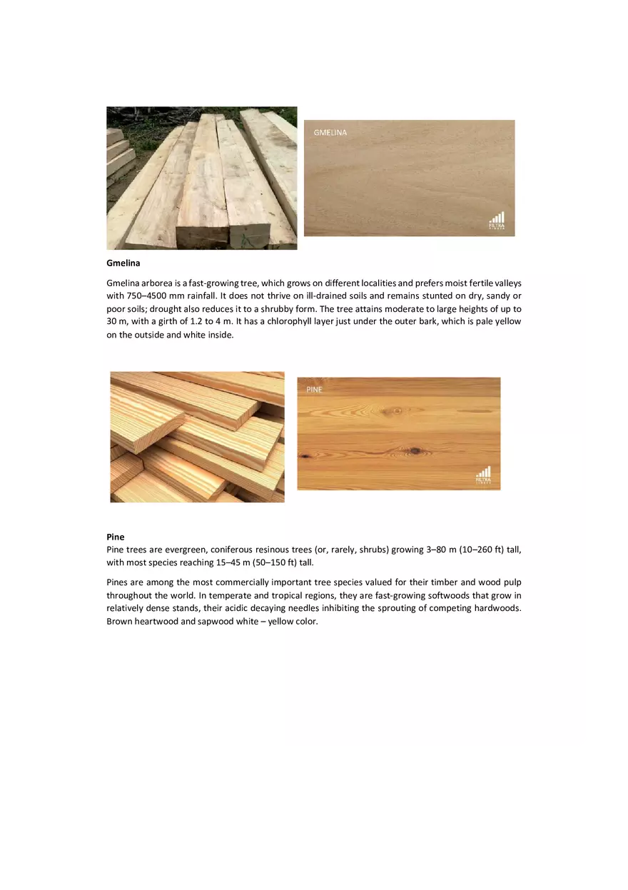 Hardwood and Softwood in the Philippines - Page 12
