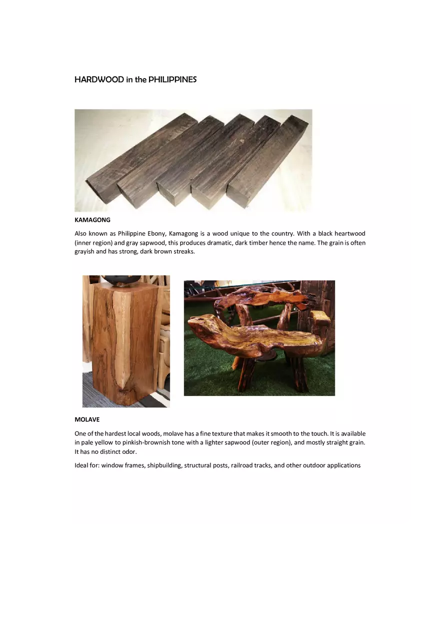 Hardwood and Softwood in the Philippines - Page 1