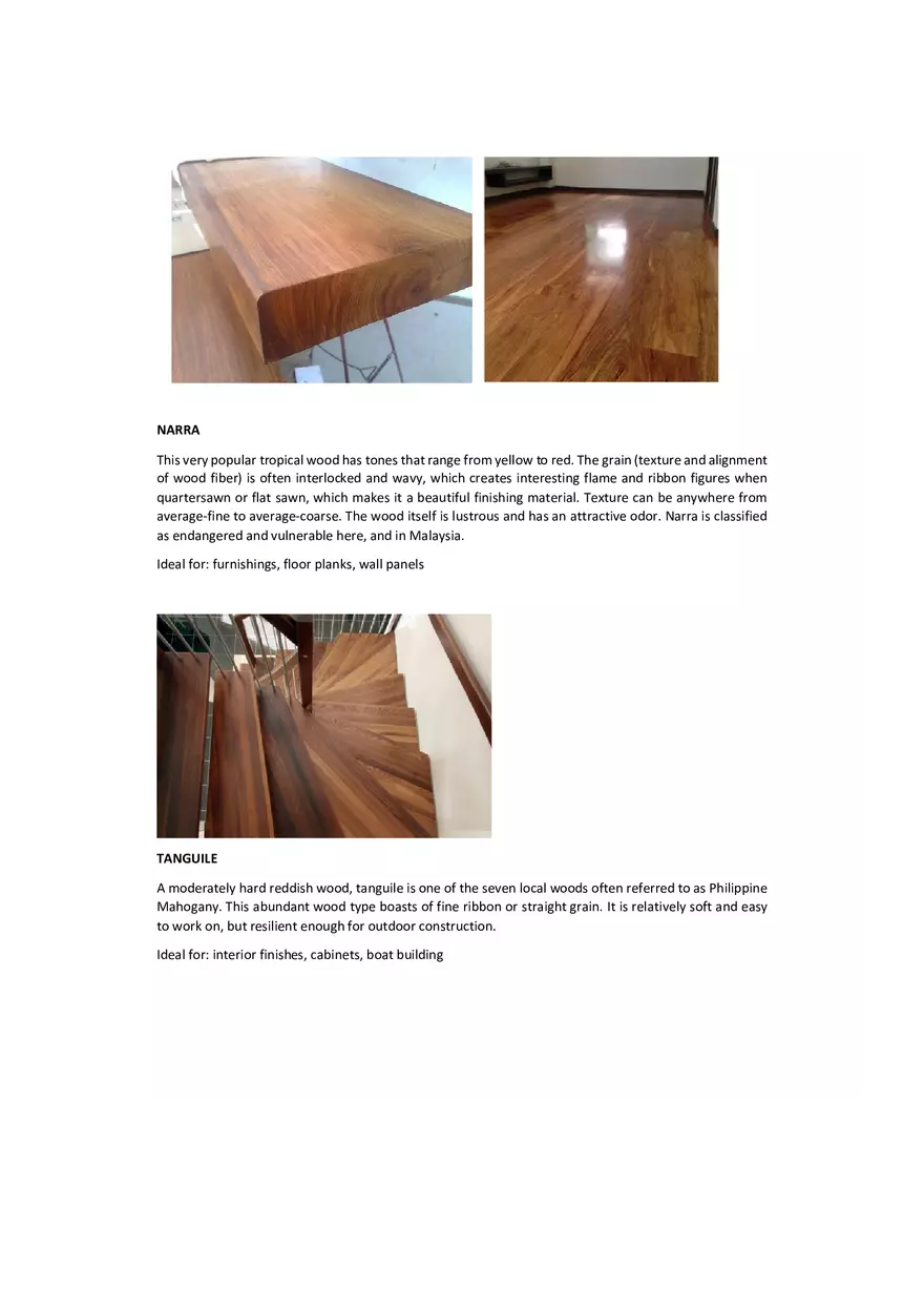 Hardwood and Softwood in the Philippines - Page 2