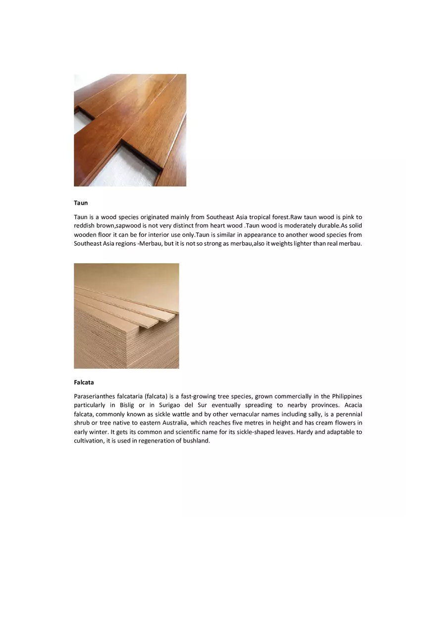 Hardwood and Softwood in the Philippines - Page 4