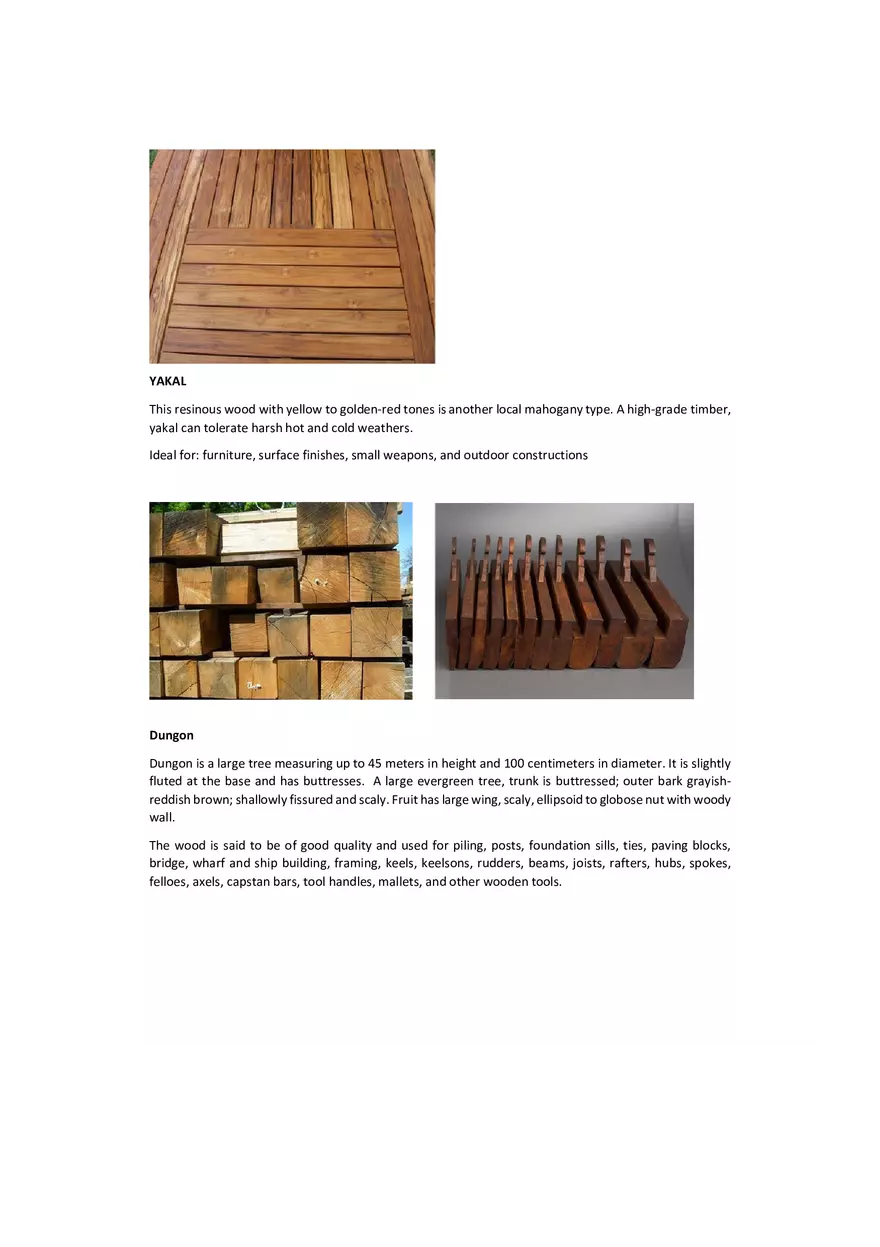 Hardwood and Softwood in the Philippines - Page 5