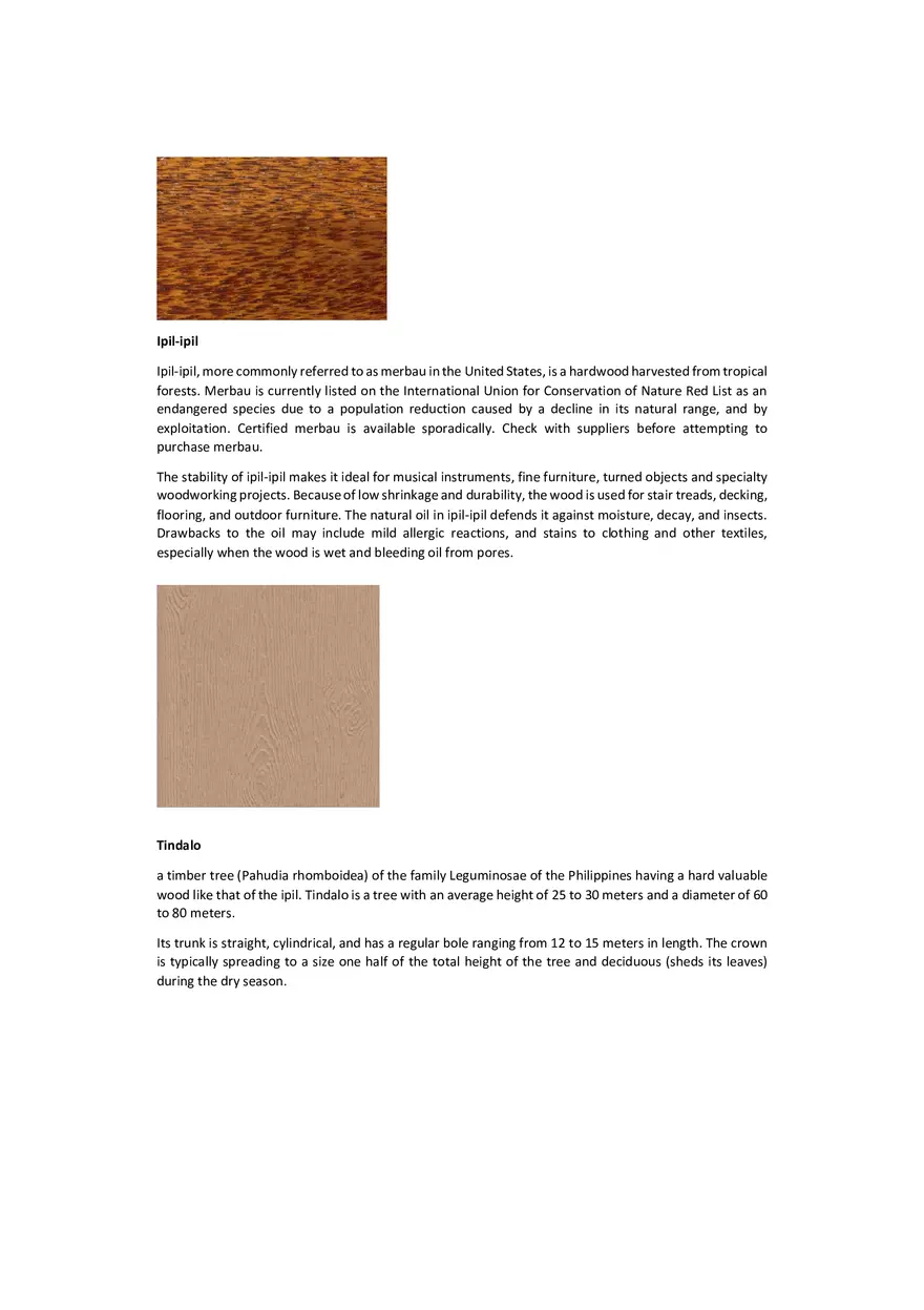 Hardwood and Softwood in the Philippines - Page 6