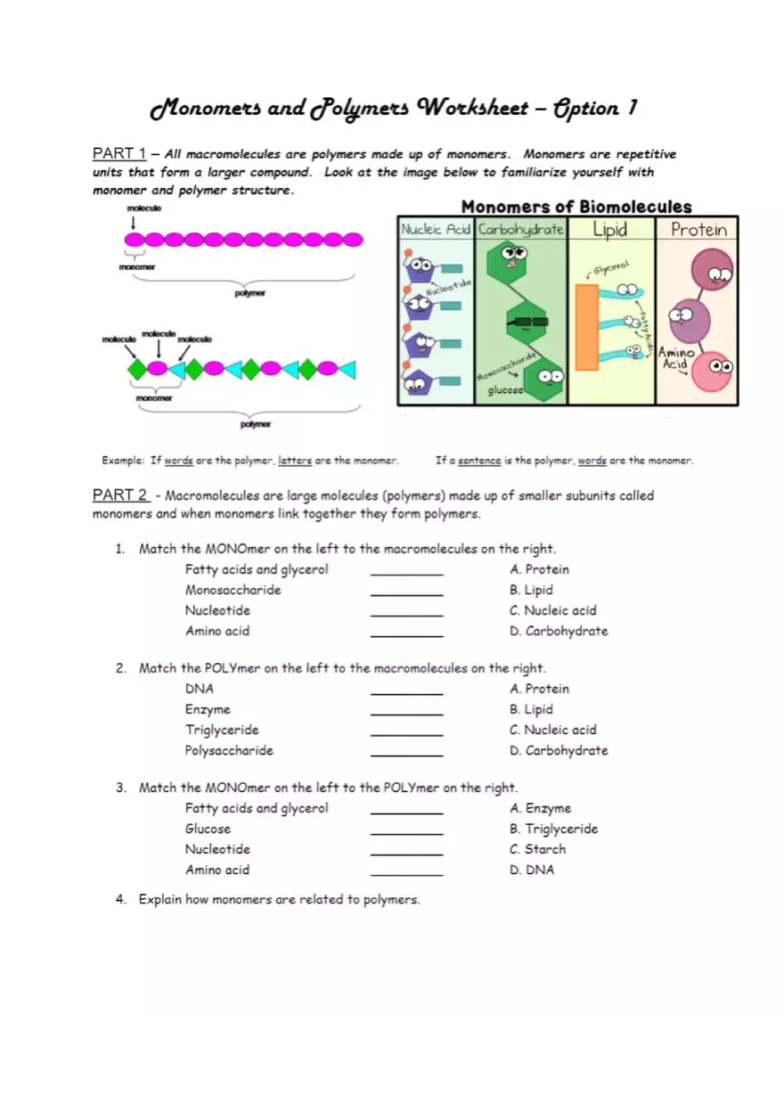 Monomers and Polymers Worksheet - Page 1