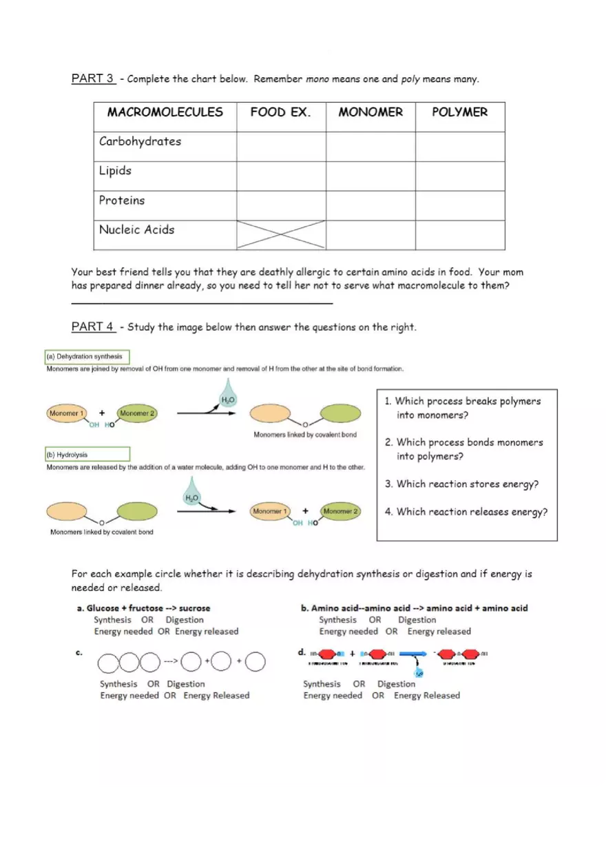 Monomers and Polymers Worksheet - Page 2