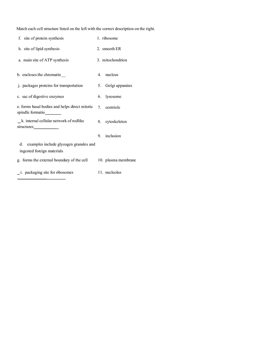 The Cell Anatomy and Division (Review Sheet 4) - Page 2
