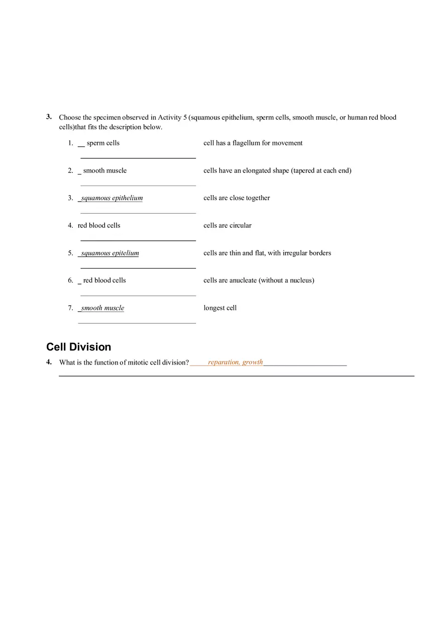 The Cell Anatomy and Division (Review Sheet 4) - Page 3