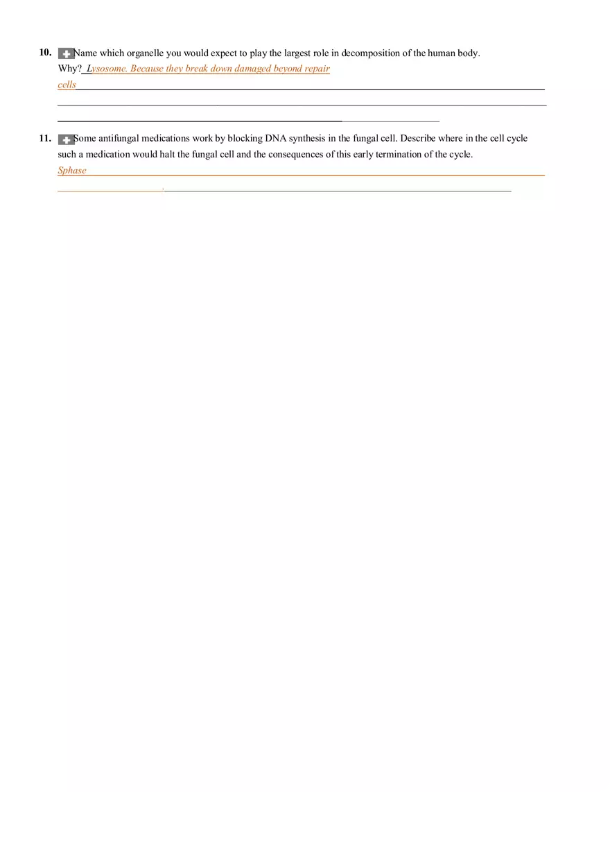 The Cell Anatomy and Division (Review Sheet 4) - Page 6