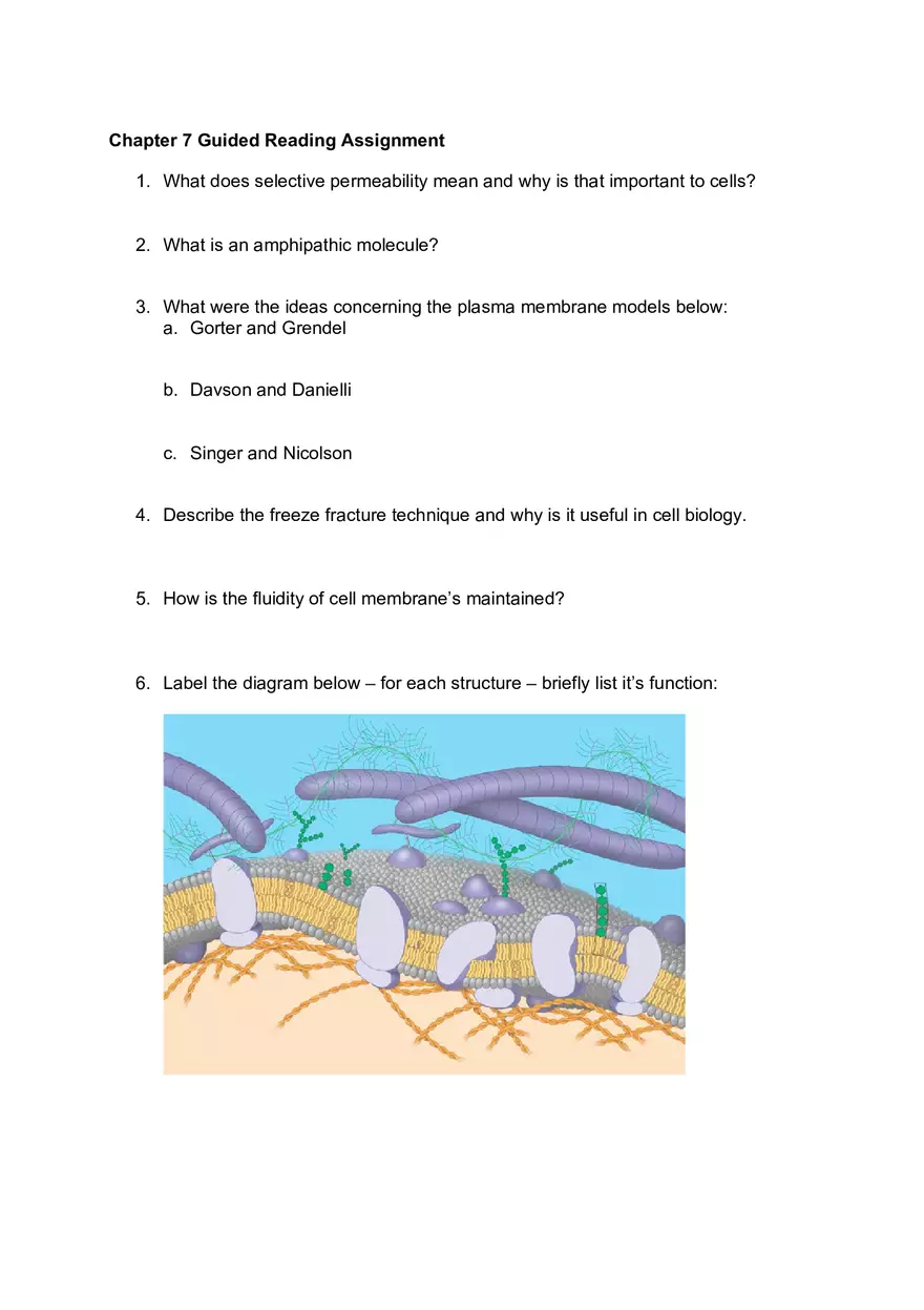 Biology Guided Reading Assignment - Page 1