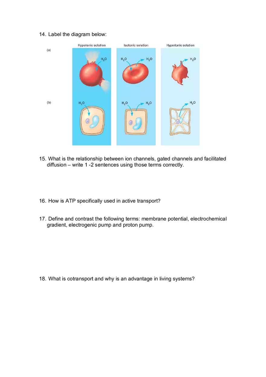 Biology Guided Reading Assignment - Page 3