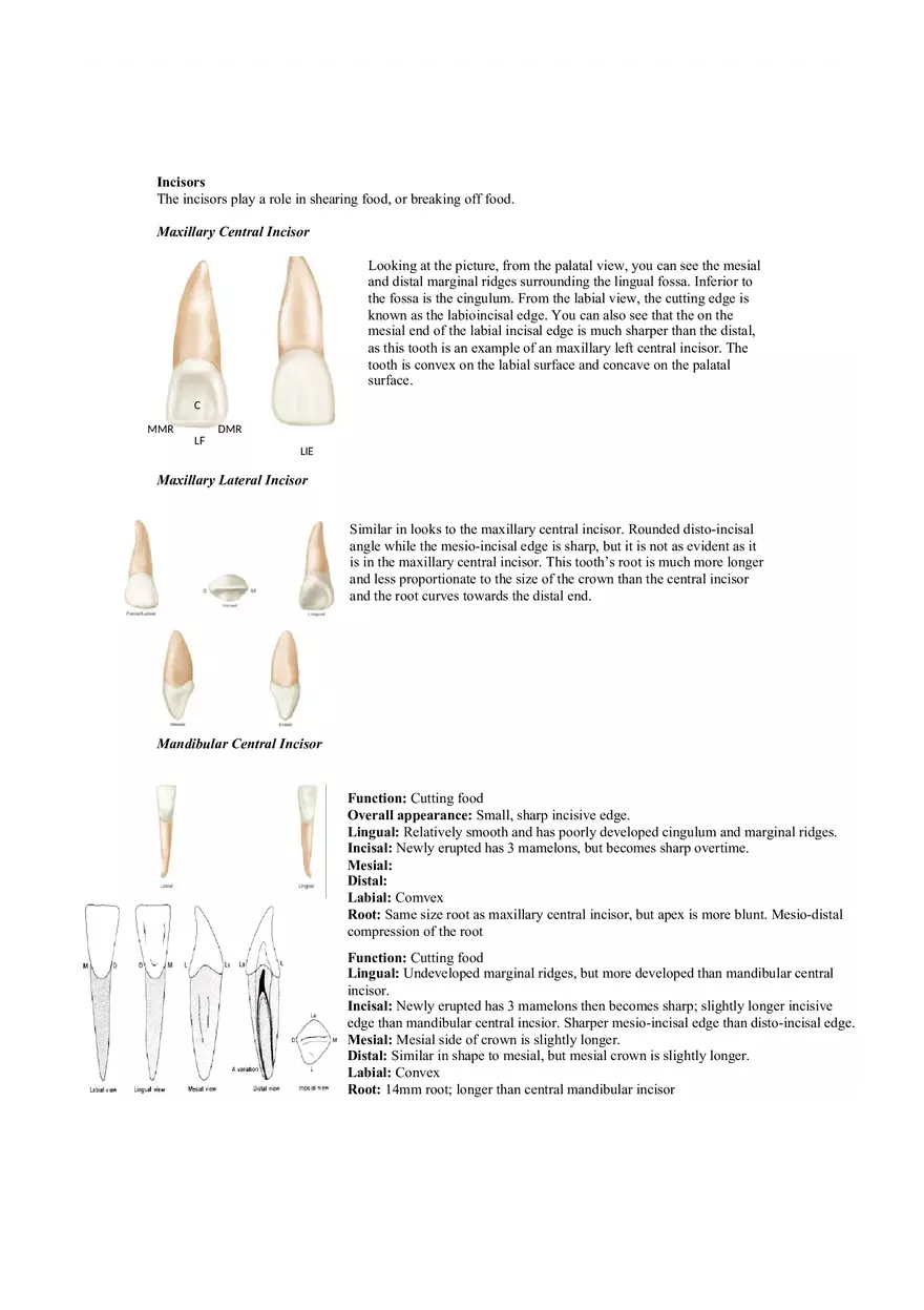 Dental Pulp Notes - Page 7
