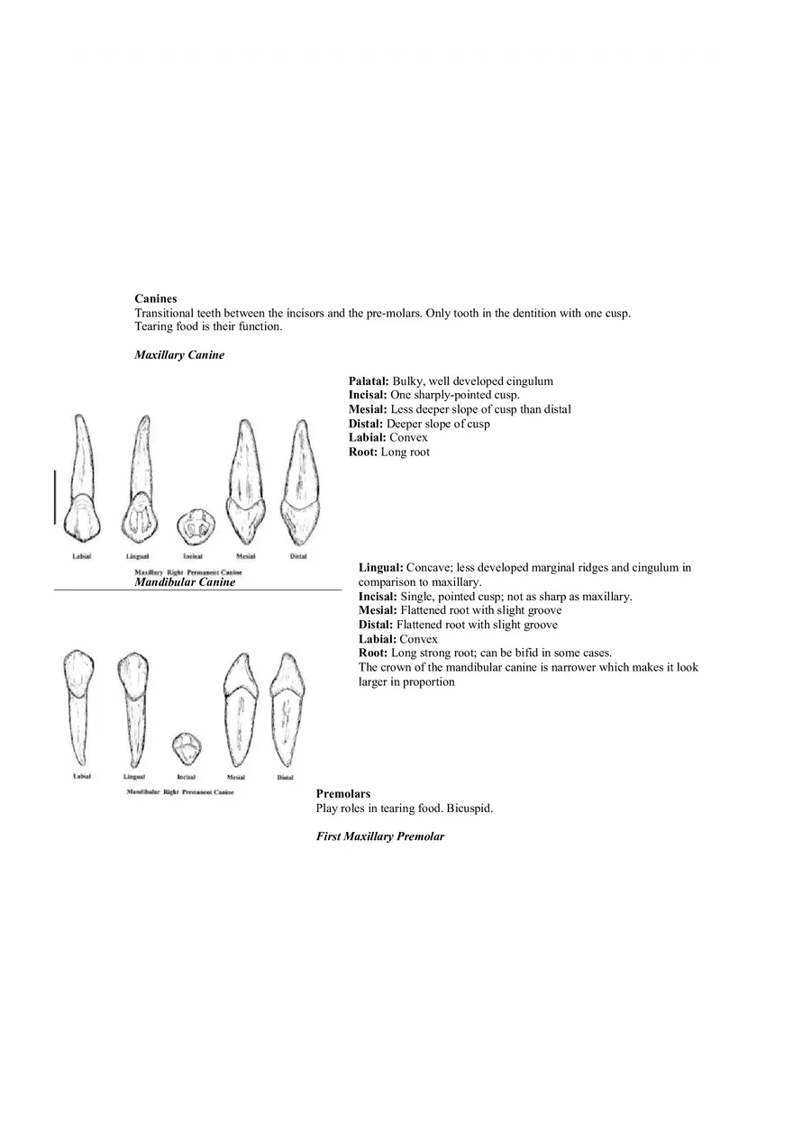 Dental Pulp Notes - Page 8