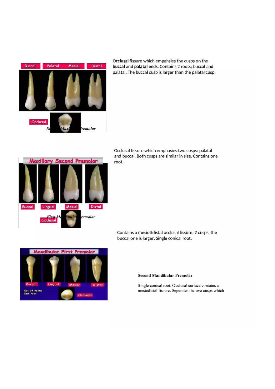 Dental Pulp Notes - Page 9