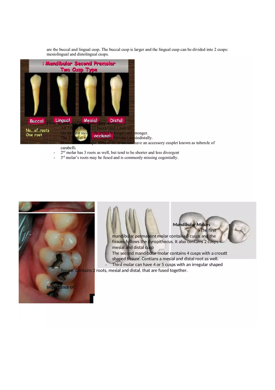 Dental Pulp Notes - Page 10