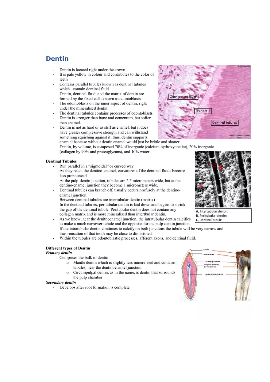 Dental Pulp Notes - Page 12