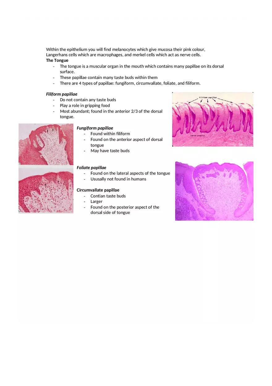 Dental Pulp Notes - Page 15