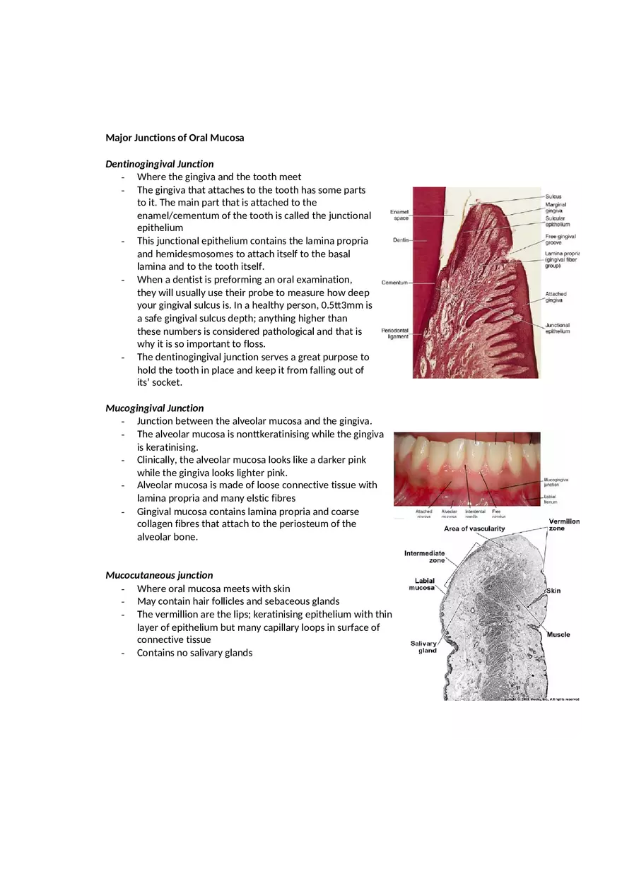 Dental Pulp Notes - Page 16