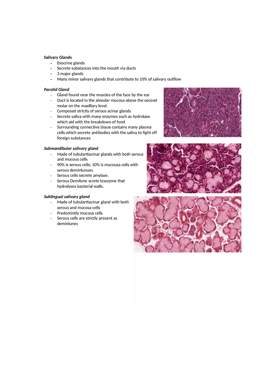 Dental Pulp Notes - Page 17