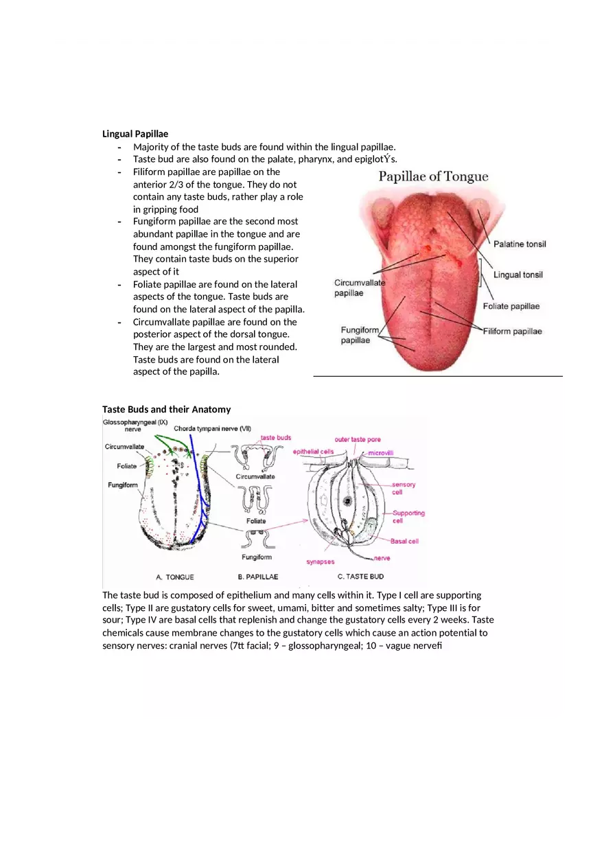 Dental Pulp Notes - Page 19