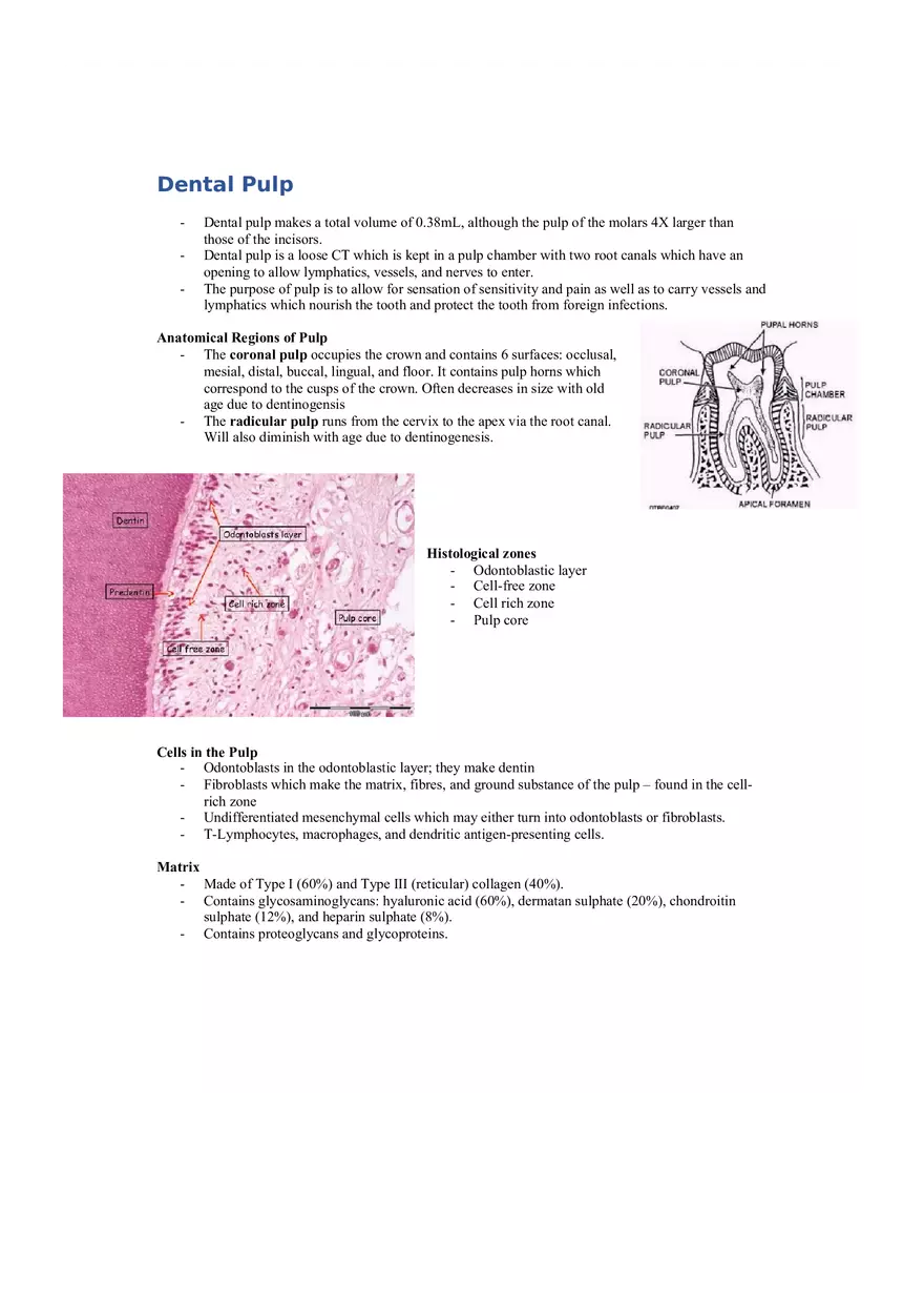 Dental Pulp Notes - Page 1
