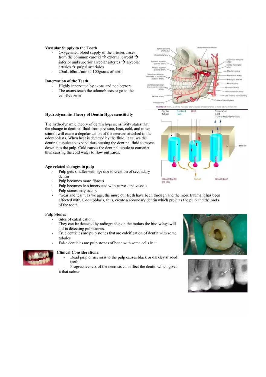 Dental Pulp Notes - Page 2