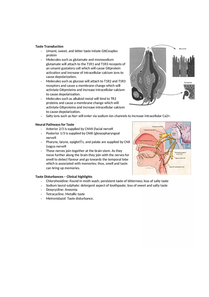 Dental Pulp Notes - Page 3