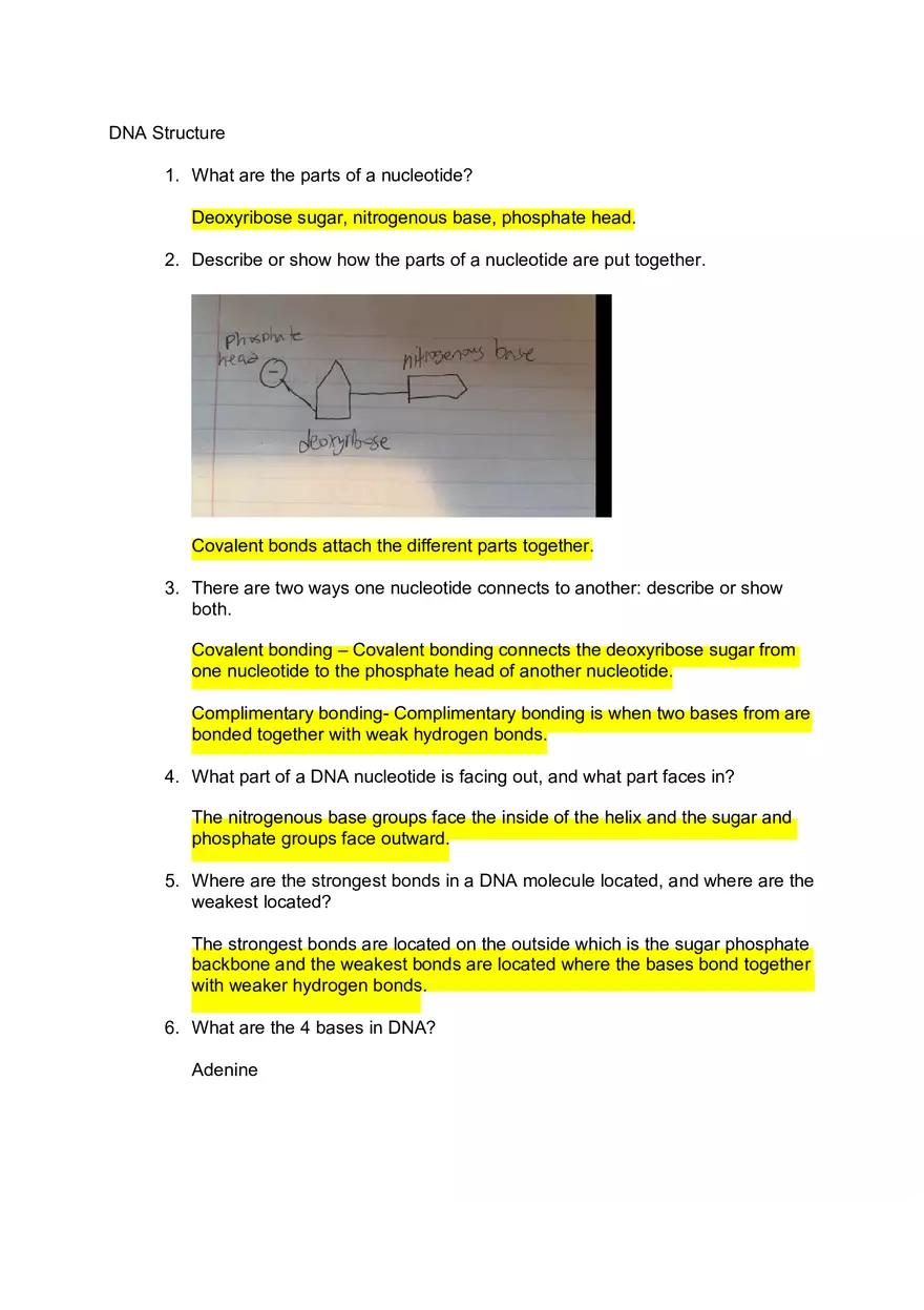 DNA Quiz Answers - Assignment - Page 1
