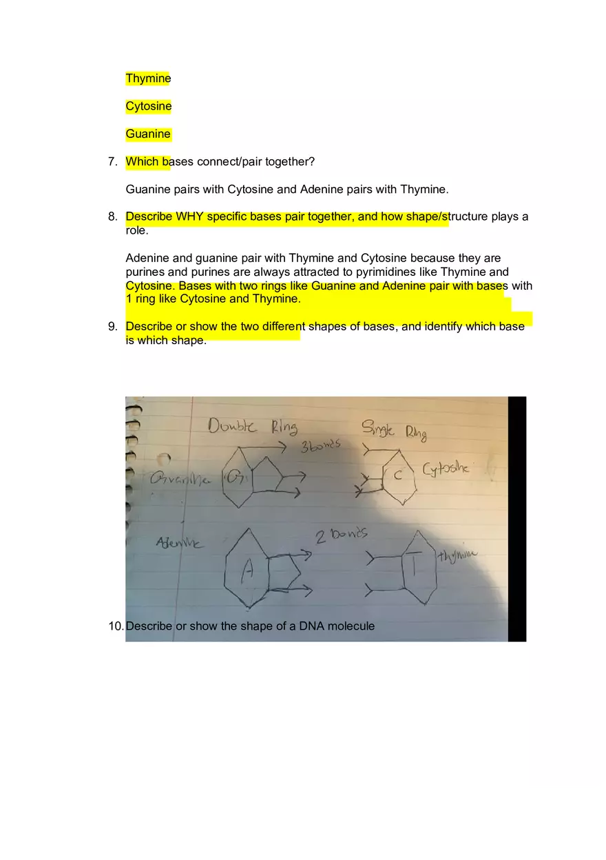 DNA Quiz Answers - Assignment - Page 2