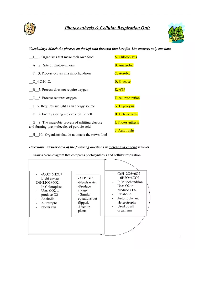 Cell Respiration and Photosynthesis Quiz - Page 1