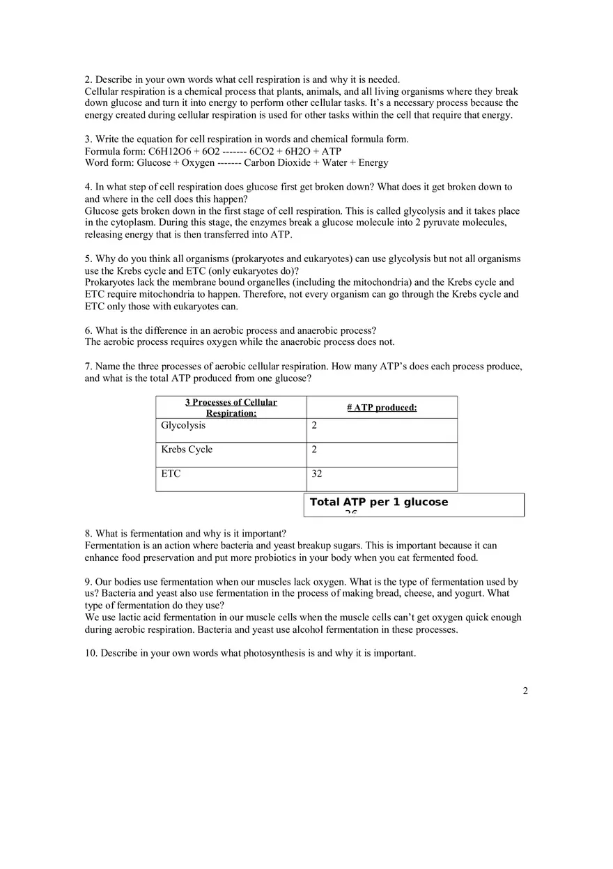 Cell Respiration and Photosynthesis Quiz - Page 2