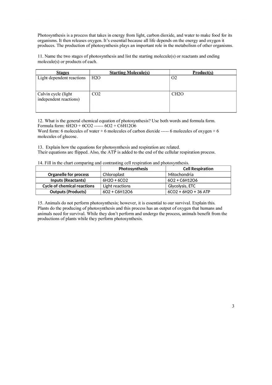 Cell Respiration and Photosynthesis Quiz - Page 3