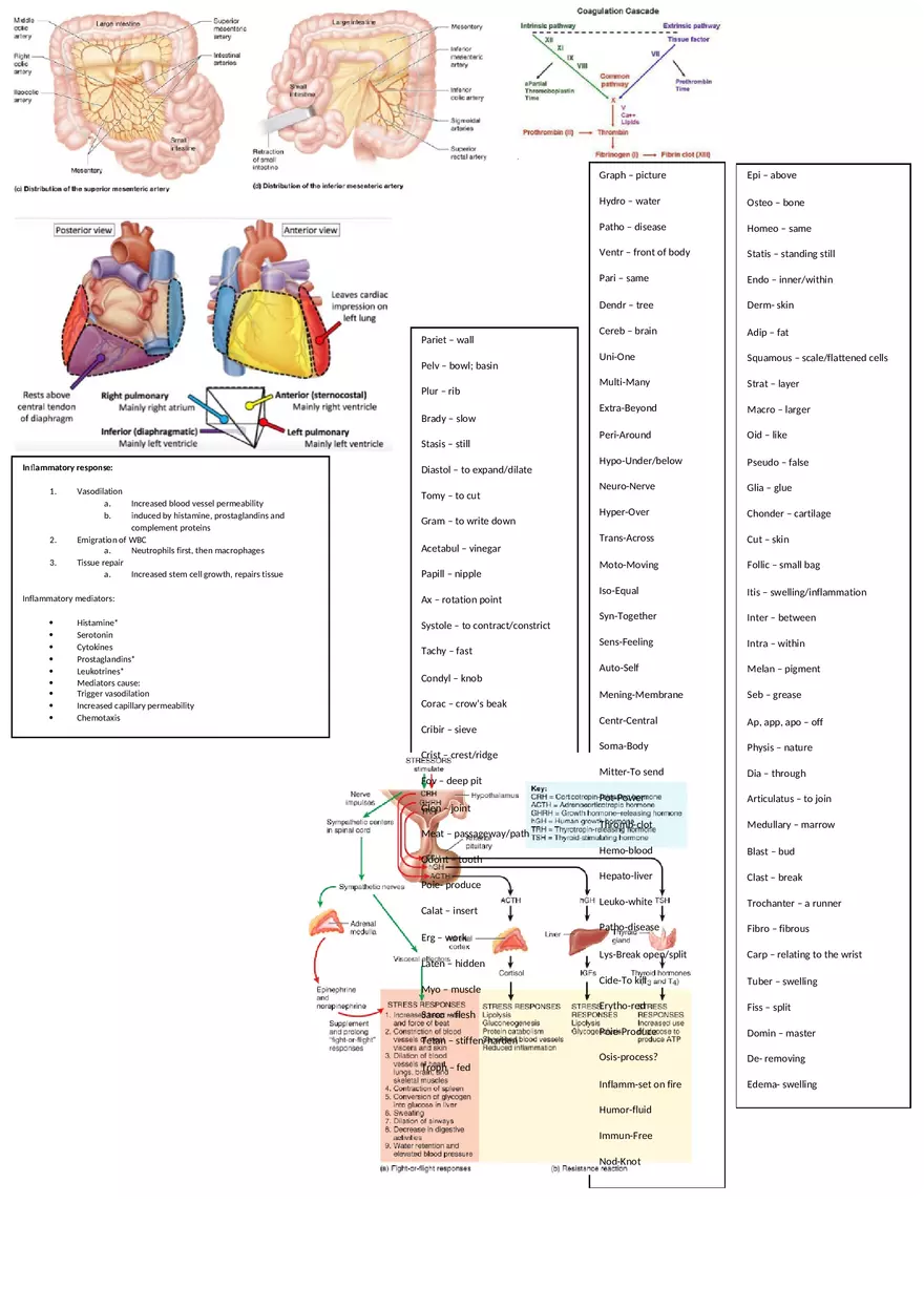 Coagulation Cheat Sheet - Page 1
