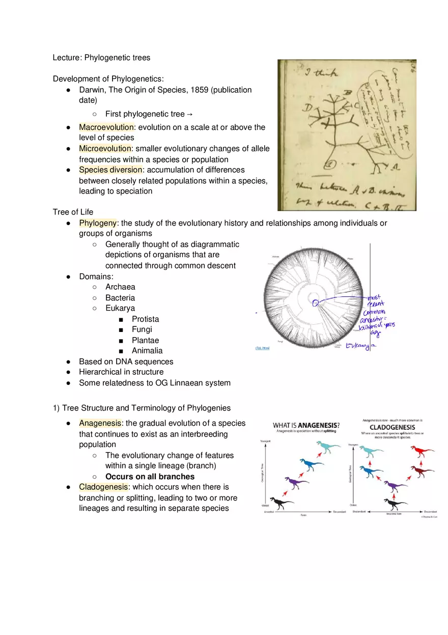 Phylogenetic Trees - Lecture Notes - Page 1