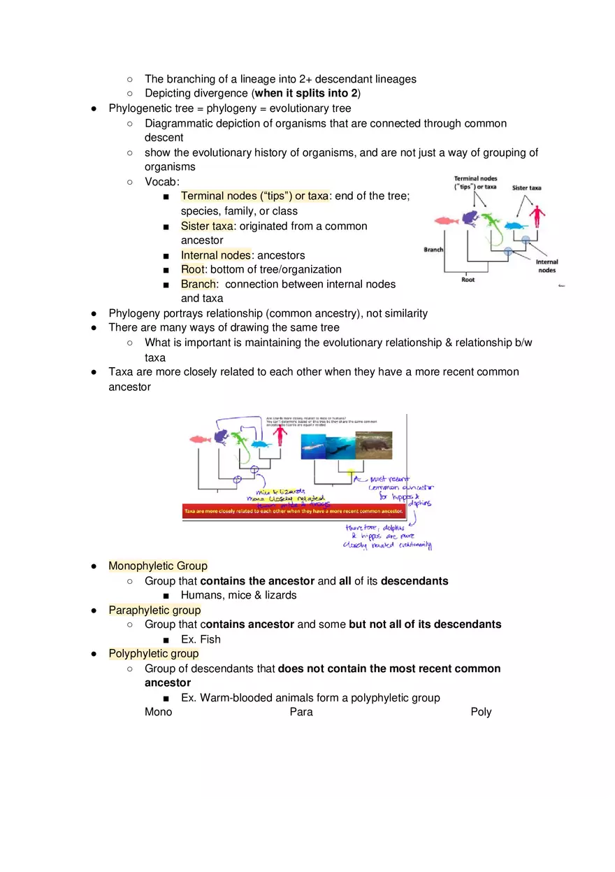 Phylogenetic Trees - Lecture Notes - Page 2